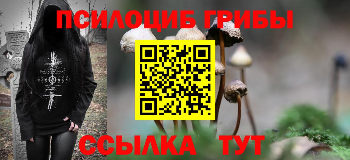 Псилоцибиновые грибы Psilocybine cubensis  Галлюциногенные грибы прущие грибы  Вход с VPN  Луга 